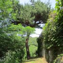 강화읍-4 이미지