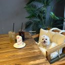 대공원역 3번 출구 | 서울 어린이대공원역 카페 환원당, 실내 애견동반 되요!