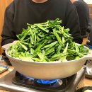 빛날시간 | 후쿠오카 여행 일지! 일본 여행 꿀팁은 아니고 음… 후기ㅣ