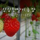 잘커농장 이미지