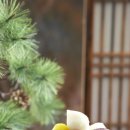 보라매 스파 이미지