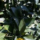 이혁농장 이미지