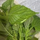 희현농장 이미지