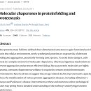 단백질 오접힘과 응집을 방지하는 샤페론 감시 .. protostasis 탐구!! 이미지