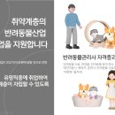 착한펫#