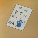 홍주의사총앞 - 좌 | 꽃나무야 난 그걸 사랑한 거고 시간이 지나면 사라지는 게 참 슬프겠지만 사랑은 돌아오는 거래