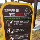 도봉-도봉-서울도봉-2022 이미지