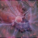 수산안경원 | 코스트코 실패 없는 쇼핑을 위한 모든 것