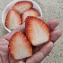 청원과일마트 이미지