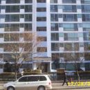 분당-205 이미지