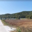 조정현농장 이미지