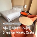 오사카 숙소 고민이라면? 쉐라톤 미야코 오사카 호텔 이용 후기