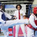 한국태권도체육관 이미지