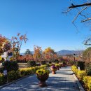 (4) 경주/토함산~함월산~무장봉 '25.11.10.월 이미지