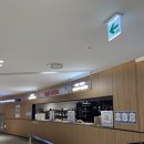 하누월드 | 잠실 롯데월드 아이스링크장 평일 저녁 방문후기, 이색데이트 추천!(입장권 할인, 정빙시간, 보관함 정보)