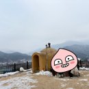 멍펜션12 이미지