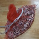 달성농약종묘사 이미지