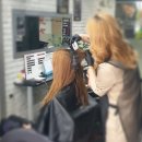 클로젯헤어 경기인터넷신문