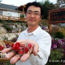 골드오션 이미지