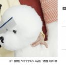 오드리펫 이미지