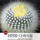 고운다육 - 중구 남북로87번길 82 | 고운다육