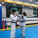 조한태권도장 이미지
