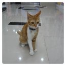 구로종합동물병원 이미지