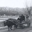 옛날 옛적에 이미지