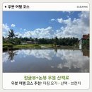 힐링(Healing) PC cafe | 발리 우붓 여행 | 짬뿌한 릿지 워크보다 더 좋은 우붓 산책로 '사리 오가닉 워크' &amp; 웰니스 우붓 여행...