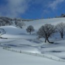 성철목장 이미지