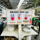 김혜은박사힐링샵 | 용인 대형 식물샵 끝판왕 에르베플라워아울렛 2000평 규모 미쳤다 (남사화훼단지필수코스)