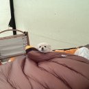 삼원레저타운 이미지