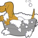 블루멍 펫 테라피 이미지