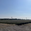 수망가라 이미지