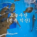 이디야커피어양동점 | 익산 회포장 오늘수산 참치 부위별 100g씩 주문 가능한 곳!