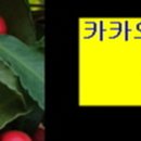 파리바게뜨 안성롯데캐슬점 이미지