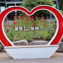 세미기획