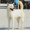 용포축산 이미지