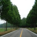 복내초교 이미지