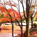 힐링 다도여행 이미지