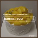 포항시남구18 | 투썸 케이크 추천 망고생 홀케이크 가격 예약 후기