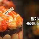 2/11 SBS스페셜 THE 빵 성심당 &amp; 런던베이글 예고 이미지