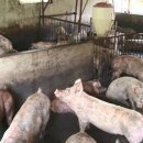 최형준 농장 이미지