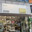 [대전/둔산] 대전 꽃집 ‘오월애플라워’ 방문후기 | 둔산동꽃집, 대전 꽃다발