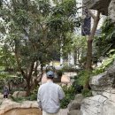 CENTRAL TOWER | 홍콩여행 야경 필수코스 Peak Tram 피크트램ㅣ클룩 선구매 왕복 티켓 후기 기념품샵 추천