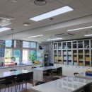 와룡초등학교 이미지