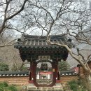 대원사 티벳박물관 | 광주전남 가볼만한 곳, 보성 <대원사>