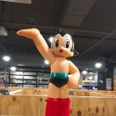 창원방역크리닉