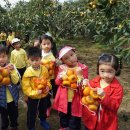 효동농장 이미지