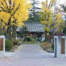 지장임업